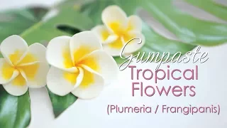 Gumpaste Plumeria / Frangipanis Tropical Flower Tutorial