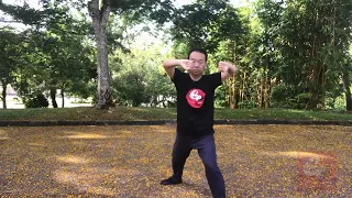 Chen Style Tai Chi New Frame First Routine 陈氏太极拳新架一路- XJ1 74 指裆捶   Low Hidden Hand Punch