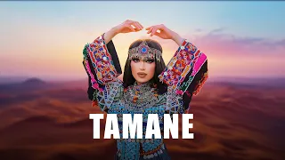 " TAMANE " Oriental Dancehall Type Beat (Instrumntal) by Lemonade Beats