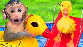 Bebé Mono Bon Bon Nadando Con un Lindo Patito y Comiendo Fruta de Sandía - MONO BONBON ESP