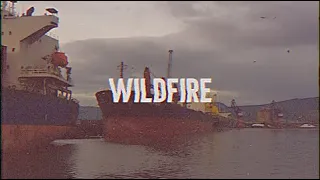 Wildfire (Feat. Shubh Saran)- Lyric Video