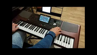 W gorącym słońcu casablanki - cover Łukasz Korg Pa -1000