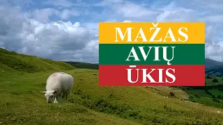 TIK LIETUVIŠKAI 29 - MAŽAS AVIŲ ŪKIS (lietuviški subtitrai)