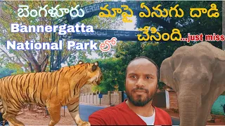 Bannergatta National Park || Bangalore || RiderESWAR345 || Low class traveller || youtube videos