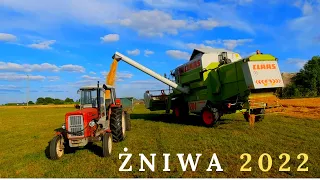 Żniwa 2022. Jęczmień Pod Kose. 7T Z Ha? Claas Mega 204 & Ursus C-360