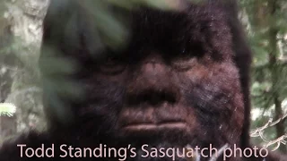 Bigfoot North Vlog from Todd Standing.  Discussing various Sasquatch topics