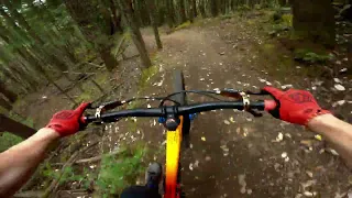 Raw MTB POV of This Iconic Local Trail: Torpedo Run, Hartland // Victoria, BC - Vancouver Island