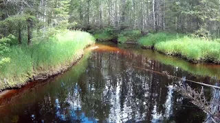 СПИННИНГ/ЛЕСНАЯ РЕЧКА/ДВОЕ НА РЕКЕ.