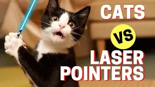 🔴 Most Epic Cat Fails - Funny Cats vs Laser Pointers Compilation