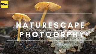 Naturescape Photography with the Tamron 28-75mm f 2.8  Nikon Z mount.