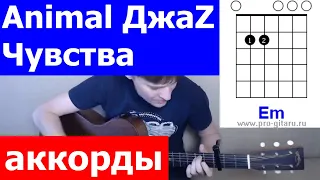 Animal Джаз - Чувства аккорды 🎸 кавер табы как играть на гитаре | pro-gitaru.ru