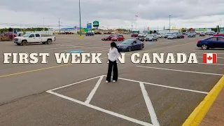 My first week in Canada(Nova Scotia) 🇨🇦| SIN, bank acct, new sim card, shopping, my apartment & more