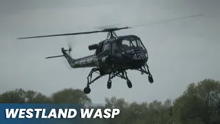 Westland Wasp Display - Abingdon 2023