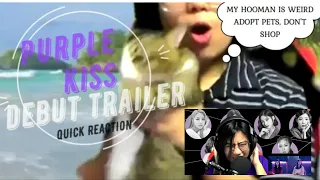 퍼플키스(PURPLE K!SS) Debut Trailer (MOOMOO reaction)