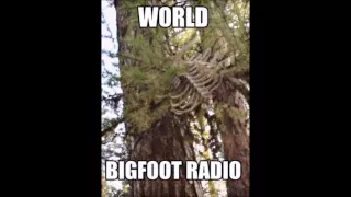 World Bigfoot Radio Ep 6