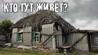 ПРОНИКЛИ В ЖУТКУЮ ЗЕМЛЯНКУ. Плесень, мухи, кошки и человек...