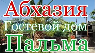 Абхазия гостевой дом "Пальма" Алахадзы сегодня 3 июля 2021