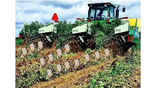 Peanut Harvesting Machine: A Breakthrough in Agriculture