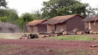 Accrochage entre soldats français et un groupe armé en Centrafrique