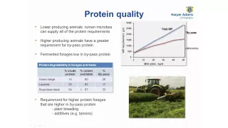 Nutrition of the contemporary dairy cow - brought to you by AHDB Dairy