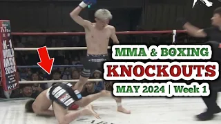MMA & Boxing Knockouts, May 2024 | Week 1