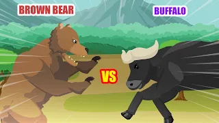 Brown Bear vs Buffalo | Carnivores vs Herbivores [S1] | Animal Animation