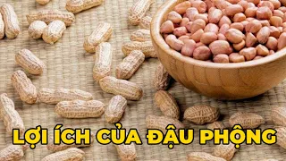 Lợi ích tuyệt vời của đậu phộng và những tác dụng phụ cần biết - Kênh Hướng Dẫn