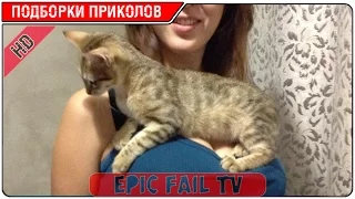 Подборка приколов за Январь 2016 (+18) #7 A selection of jokes for January 2016