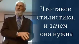 Что такое стилистика, и зачем она нужна - В. Г. Костомаров