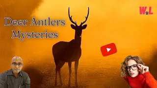 Deer Antlers: Top 10 Fun Facts You Didn’t Know