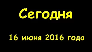 Какой сегодня праздник 16 июня 2016