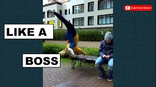 LIKE A BOSS COMPILATION  🔥  Fitness workout Amazing People 2019🔥 2