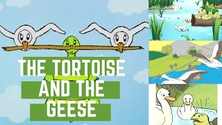 The tortoise and the geese | The foolish tortoise | Two Geese and the tortoise | Kids Learning