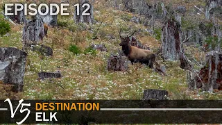 Rematch with The Jurassic Bull: EPISODE 12 (Destination Elk V5)