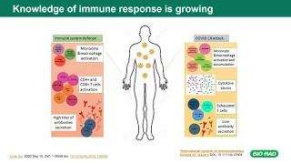 Antibody Testing for COVID-19