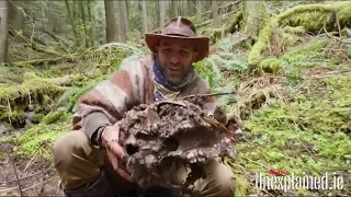 Bigfoot Skull Found in 'What If' Hoax Scenario By Coyote Peterson - Video Snippet