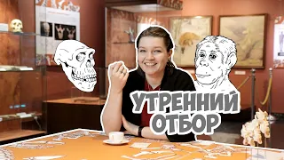 Утренний отбор: Половые хромосомы древних людей. Елена Сударикова