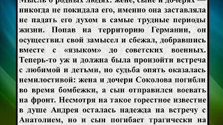 Сочинение на тему «Тема судьбы человека в рассказе М  А  Шолохов