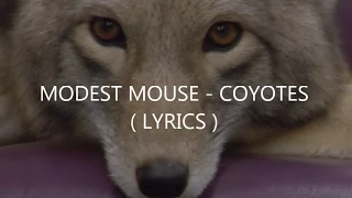 Modest Mouse - Coyotes ( LYRICS )