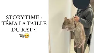 #STORYTIME : TÉMA LA TAILLE DU RAT ?! 🐀