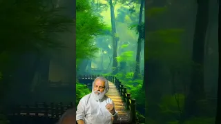 Aaroral Pularmazhayil |K.J.Yesudas |Sujatha Mohan |Vidyasagar |Gireesh Puthenchery |Pattalam