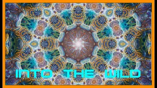 (Into the Wild)  Electronic Tribal Music