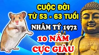 Tiết Lộ Tử Vi Trọn Đời Tuổi Nhâm Tý 1972 Từ 53-63 Tuổi, 10 Năm Vất Vả, Đổi Đời Giàu To | LPTV