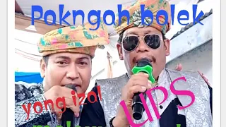 Pangngah balek-cover yonk ijal&uteh pasaribu