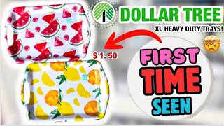 🔥 NEW DOLLAR TREE Never Seen Finds SUMMER 2024! HAUL These $1.50 Items NOW! Seasonal & Organization