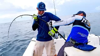 Monster Grouper Spinning Tackle Fishing Challenge