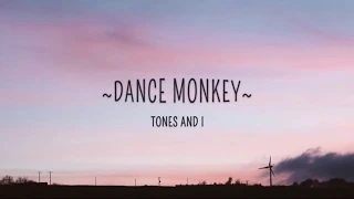 Tones And I Dance Monkey Lower Key Male Version -5