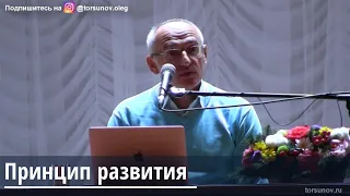 Торсунов О.Г.  Принцип развития