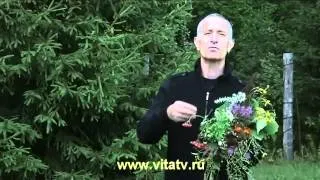 Доктор Попов-растения.mp4