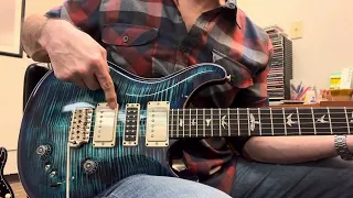 PRS Special Semi-Hollow Pickup Combos